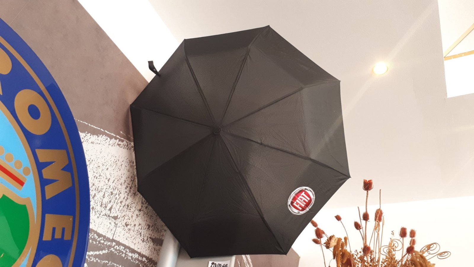 Dežnik Fiat